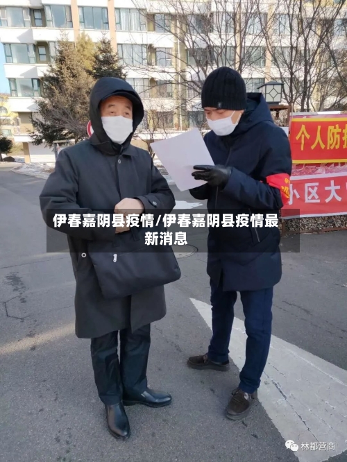 伊春嘉阴县疫情/伊春嘉阴县疫情最新消息-第3张图片