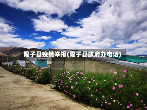 隆子县疫情举报(隆子县政府办电话)-第1张图片