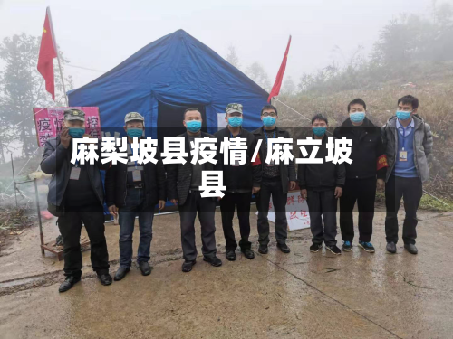 麻梨坡县疫情/麻立坡县-第1张图片
