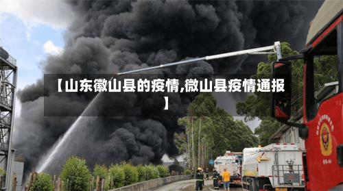 【山东徽山县的疫情,微山县疫情通报】-第3张图片