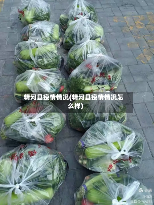 精河县疫情情况(精河县疫情情况怎么样)-第3张图片