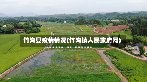 竹海县疫情情况(竹海镇人民政府网)-第2张图片
