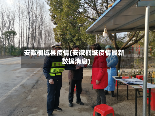 安徽桐城县疫情(安徽桐城疫情最新数据消息)-第2张图片
