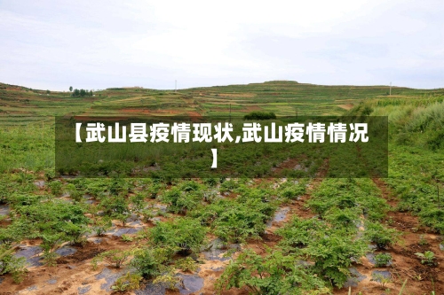 【武山县疫情现状,武山疫情情况】-第1张图片
