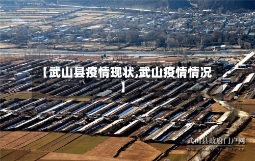 【武山县疫情现状,武山疫情情况】-第2张图片