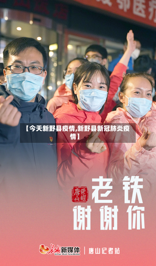 【今天新野县疫情,新野县新冠肺炎疫情】-第3张图片